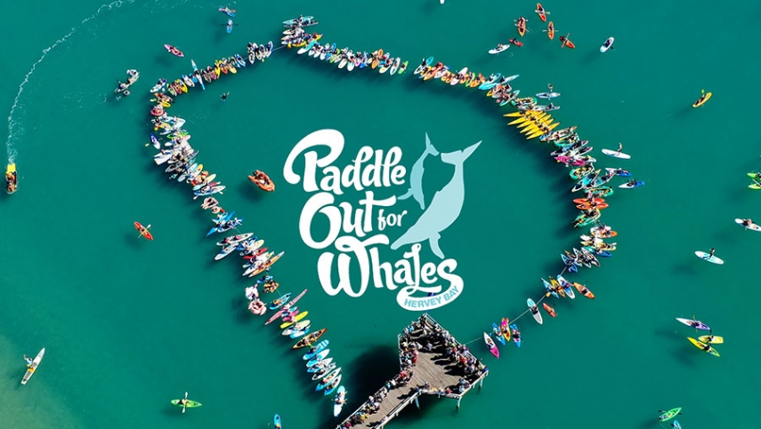 31 Jul 2022: Paddle out for Whales