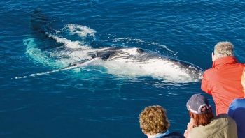 Winter In Our Wild Fraser Island Paradise